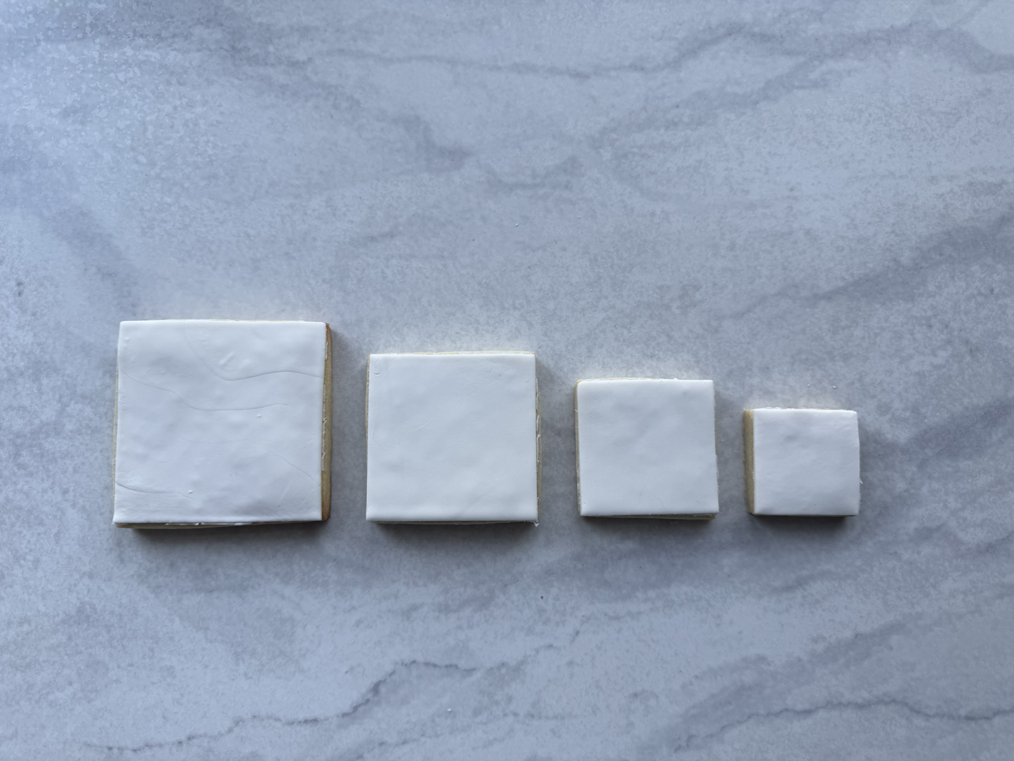 Square Logo Cookie Favors