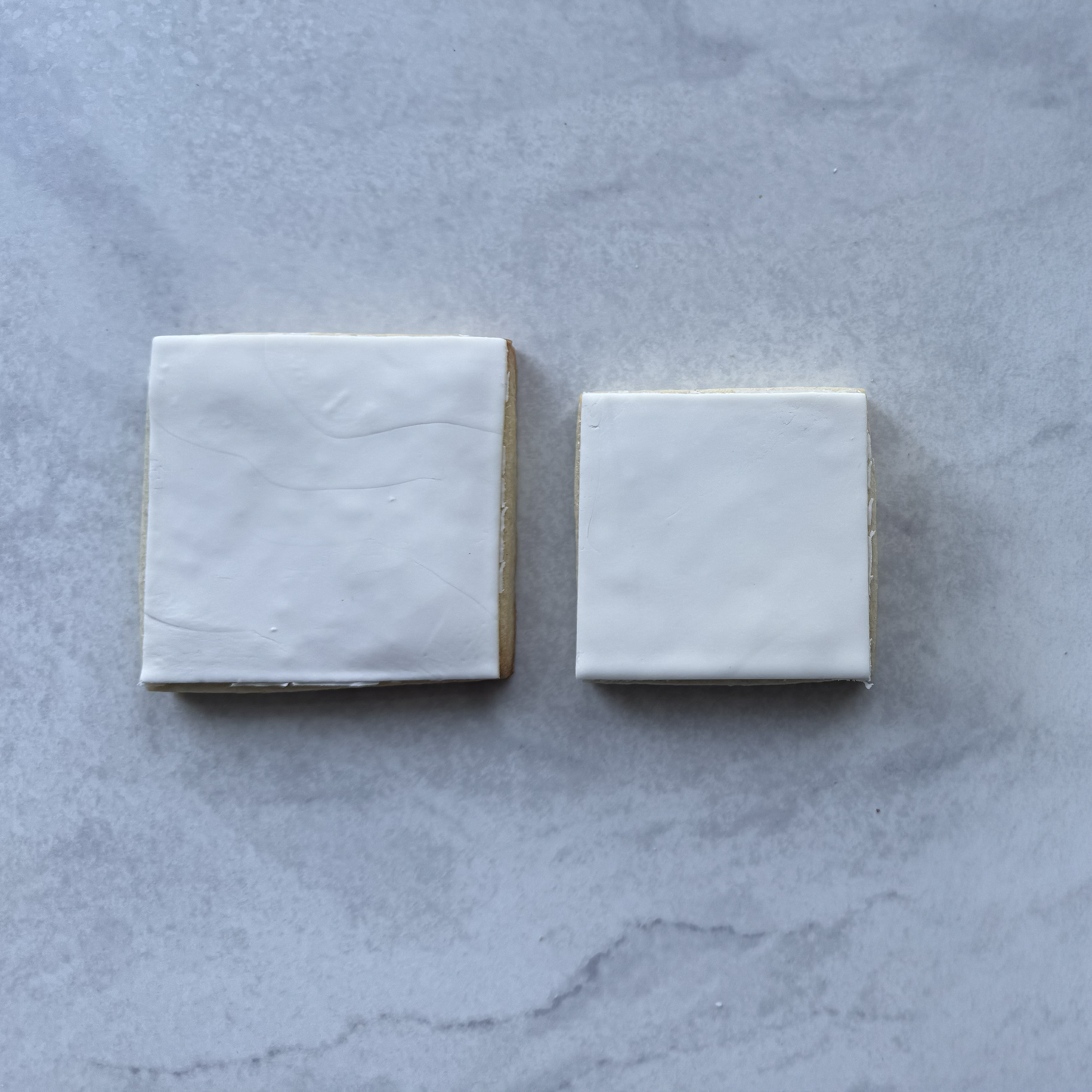 Square Photo Cookies